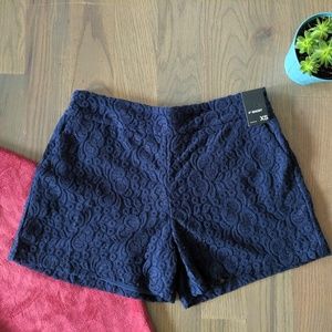 NWT New York & Company Lace Shorts